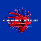 Artwork for "Old Shuffle Fechenheim"