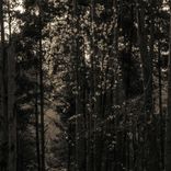 Artwork voor "Icosahedrone"