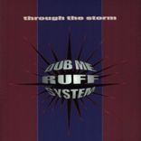 Artwork for "Through the Storm"