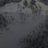 Artwork voor "The Iconography of the Martyr"