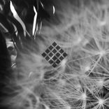 Artwork for "Zero, Pt. Two"