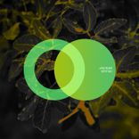 Artwork voor "Vertigo"