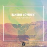 Portada para "Life is Permanent EP"