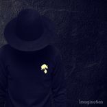 Portada para "Imagination"