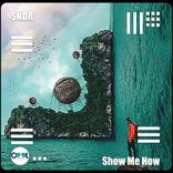 Artwork for "Show Me How"