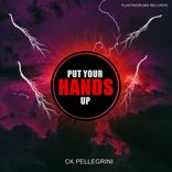 Artwork for "Put your Hands Up"