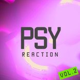 Artwork voor "Psy Reaction, Vol. 2"