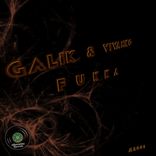 Artwork für "Fukka"