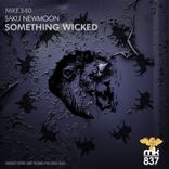 Artwork voor "Something Wicked"