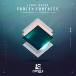 Artwork for "Frozen Fortress"