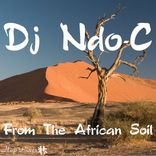 Artwork for "From The African Soil"