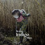 Artwork für "Indigo"