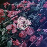 Artwork voor "Believe"