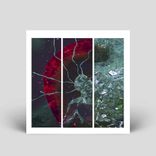 Artwork for "Selective Consciousness"