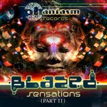 Artwork for "Sensations 2"