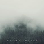 Artwork for "In the Forest"