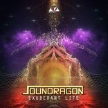 Artwork for "Exuberant Life"