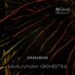 Artwork voor "Savannah Orchestra"