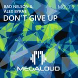 Artwork voor "Don't Give Up"