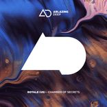 Artwork für "Chamber Of Secrets"