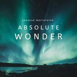 Portada para "Absolute Wonder"