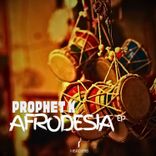 Artwork for "Afrodesia"