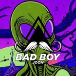 Artwork voor "Bad Boy"