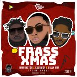 Portada para "Frass Xmas"