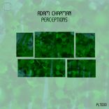 Artwork for "Perceptions"