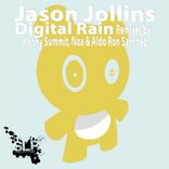 Portada para "Digital Rain"