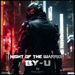 Night Of The Warrior