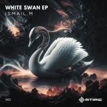Artwork for "White Swan"