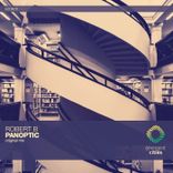 Artwork voor "Panoptic"