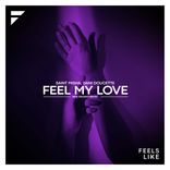 Artwork for "Feel My Love (Ben Decent Extended Remix)"