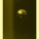 Dancing In The Moonlight