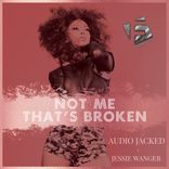 Artwork voor "Not Me That's Broken"