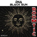 Artwork for "Black Sun"