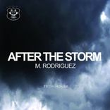Artwork für "After The Storm"