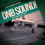 Portada para "DNB Sound!: Collection, Vol.2"