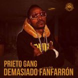 Portada para "Demasiado Fanfarrón"