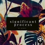 Significant Process