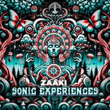 Artwork for "Sonic Experiences"