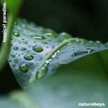 Artwork for "Tropical Paradise: Southeast Asia"