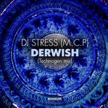 Artwork for "Derwish"