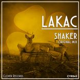 Artwork for "Shaker"