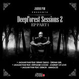 Artwork voor "Deepforest Sessions 2 EP Part. 1"