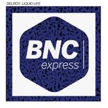 Artwork for "Liquid Life"