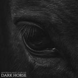 Artwork for "Dark Horse"