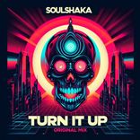 Artwork voor "Turn It Up"