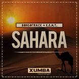 Artwork for "Sahara"